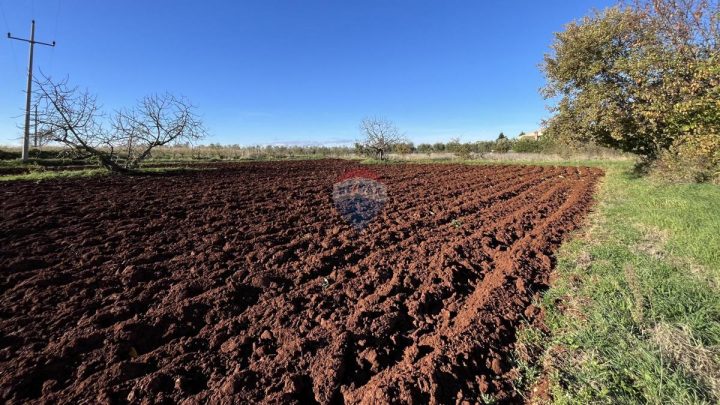 Terrain À vendre - Istarska Kaštelir - foto 2/5