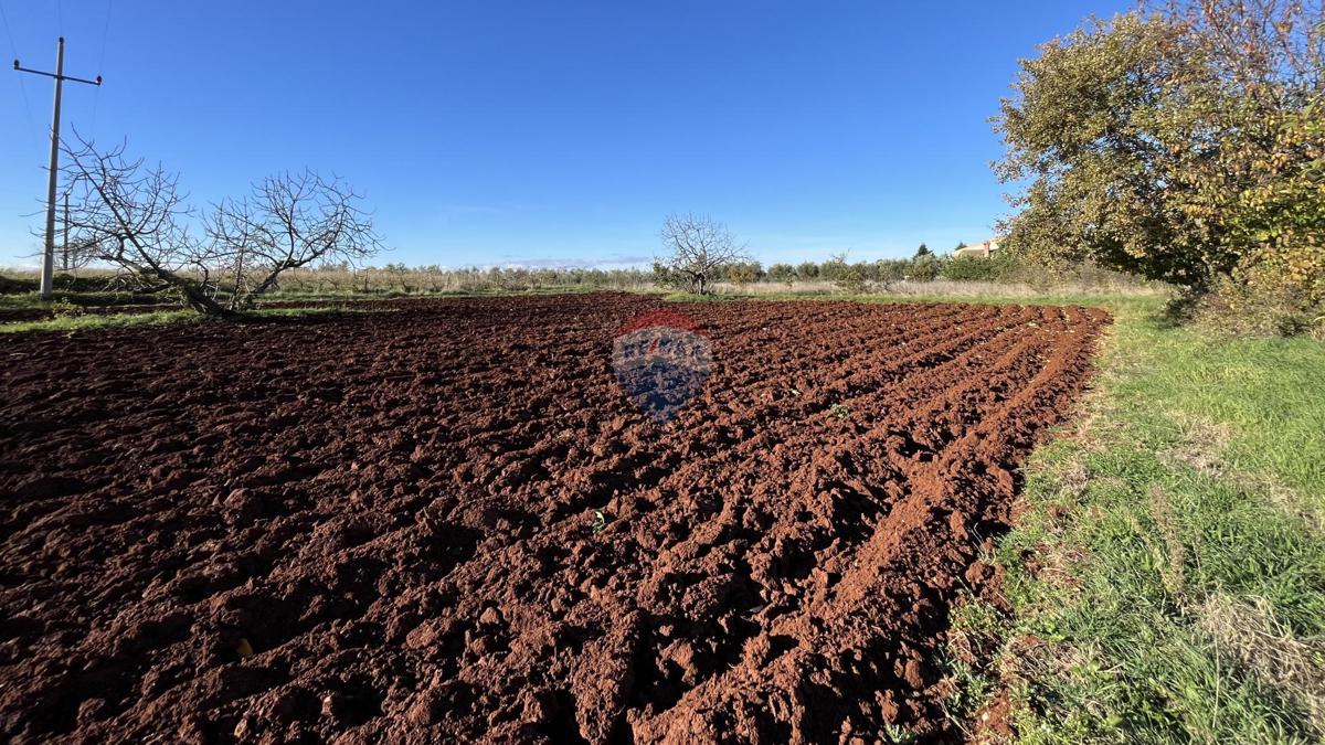 Terreno In vendita - ISTARSKA KAŠTELIR