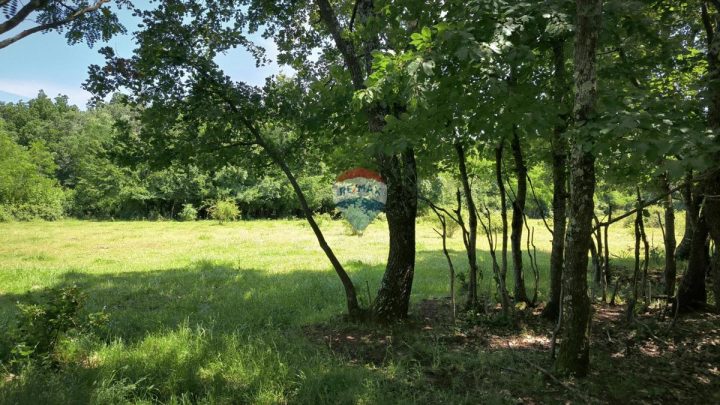Land For sale - Istarska Kaštelir - foto 2/6