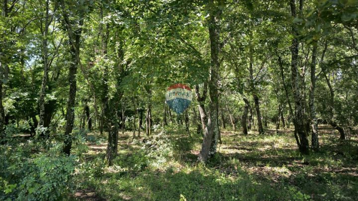 Land For sale - Istarska Kaštelir - foto 5/6