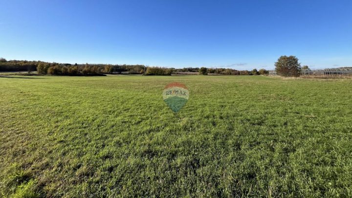 Land For sale - Istarska Kaštelir - foto 3/5