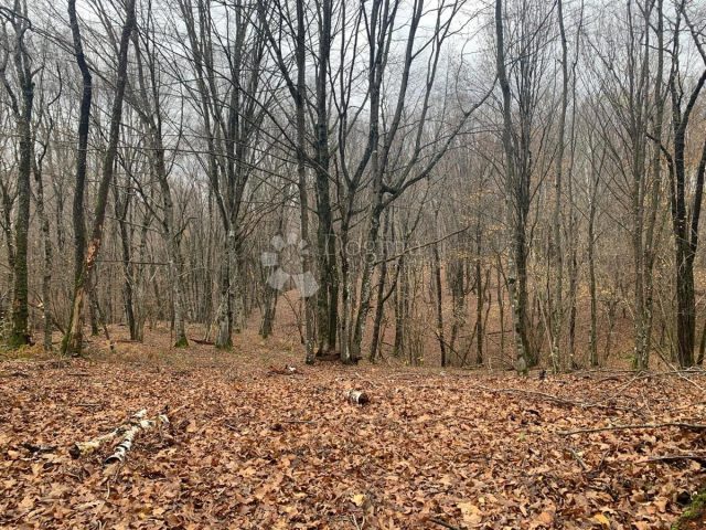 Terreno In vendita - Sisačko-moslavačka Gvozd - foto 3/7
