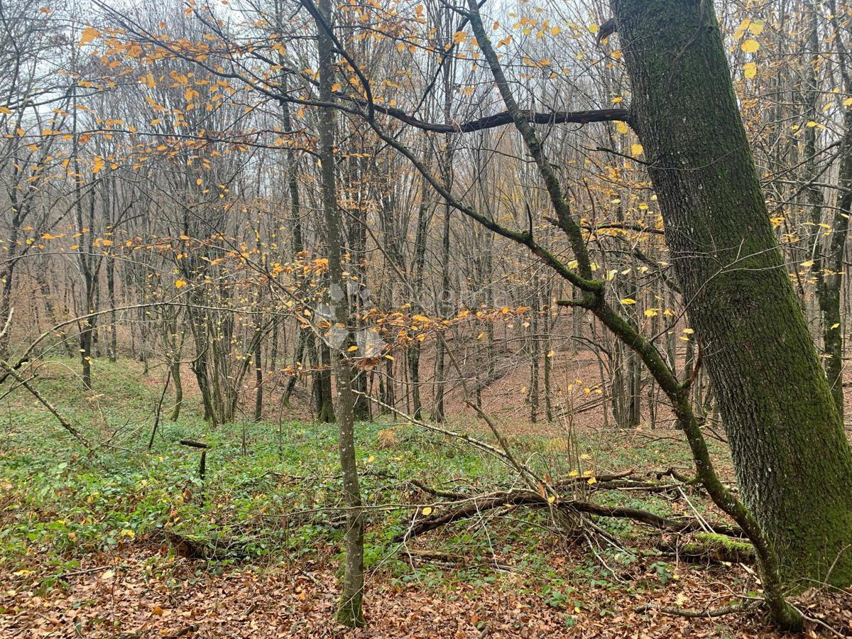 Terrain À vendre - Sisačko-moslavačka Gvozd - foto 1/7