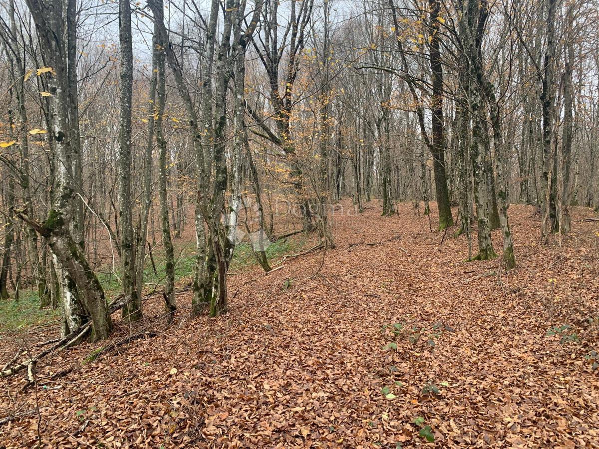 Terrain À vendre - Sisačko-moslavačka Gvozd - foto 2/7