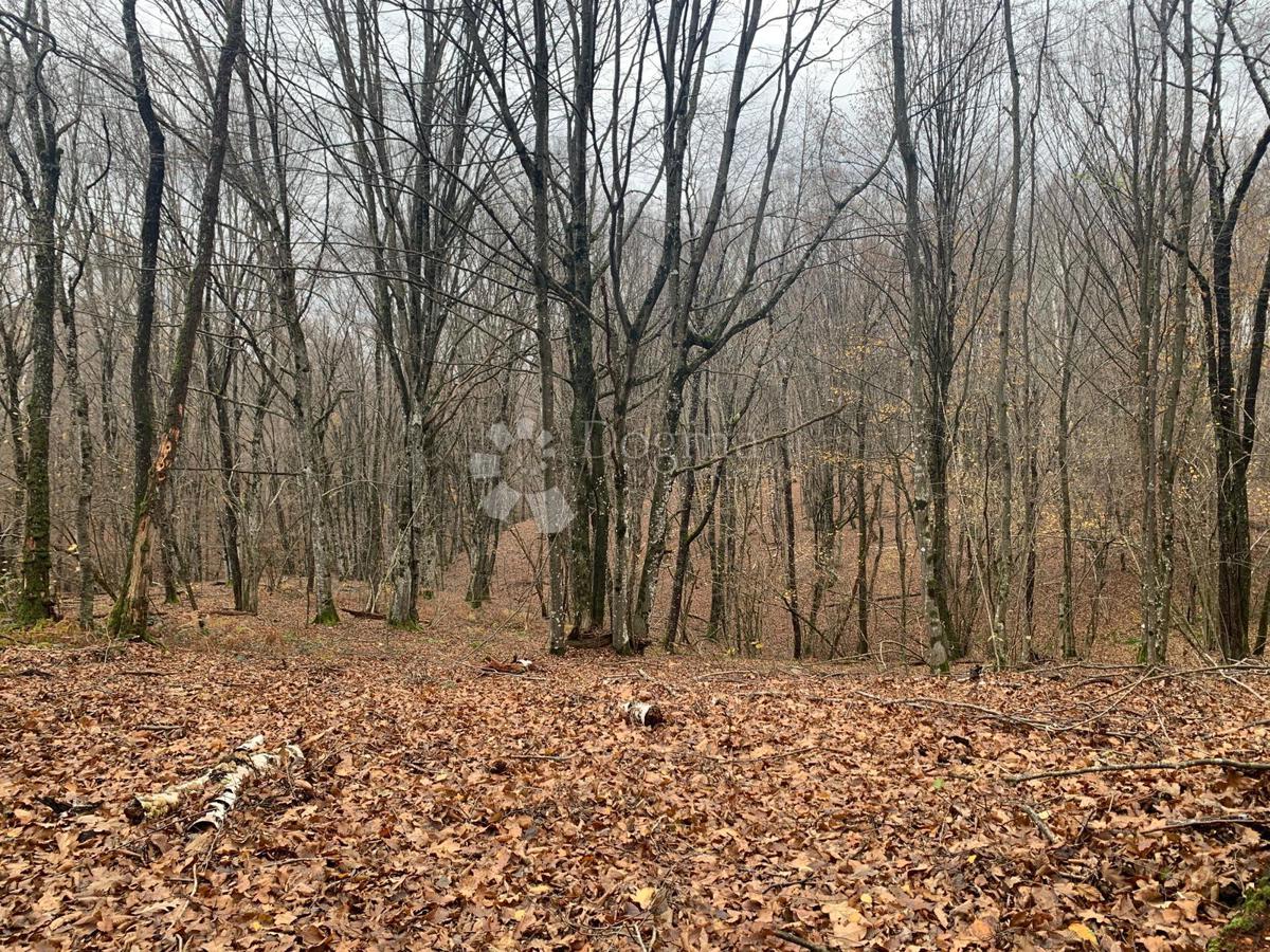 Terrain À vendre - Sisačko-moslavačka Gvozd - foto 3/7