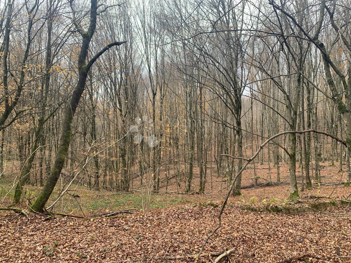 Terrain À vendre - Sisačko-moslavačka Gvozd - foto 4/7