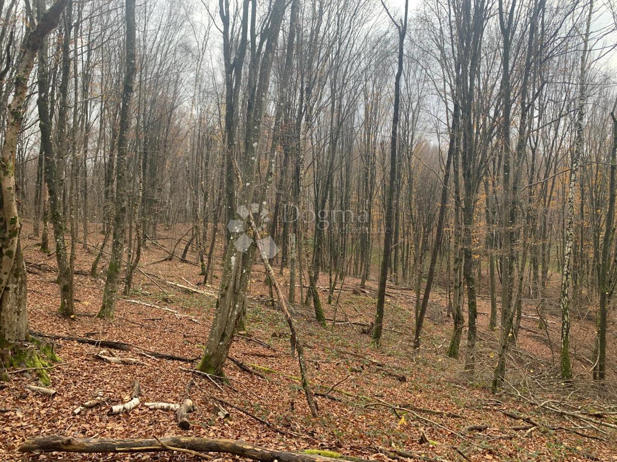 Terrain À vendre - Sisačko-moslavačka Gvozd - foto 5/7