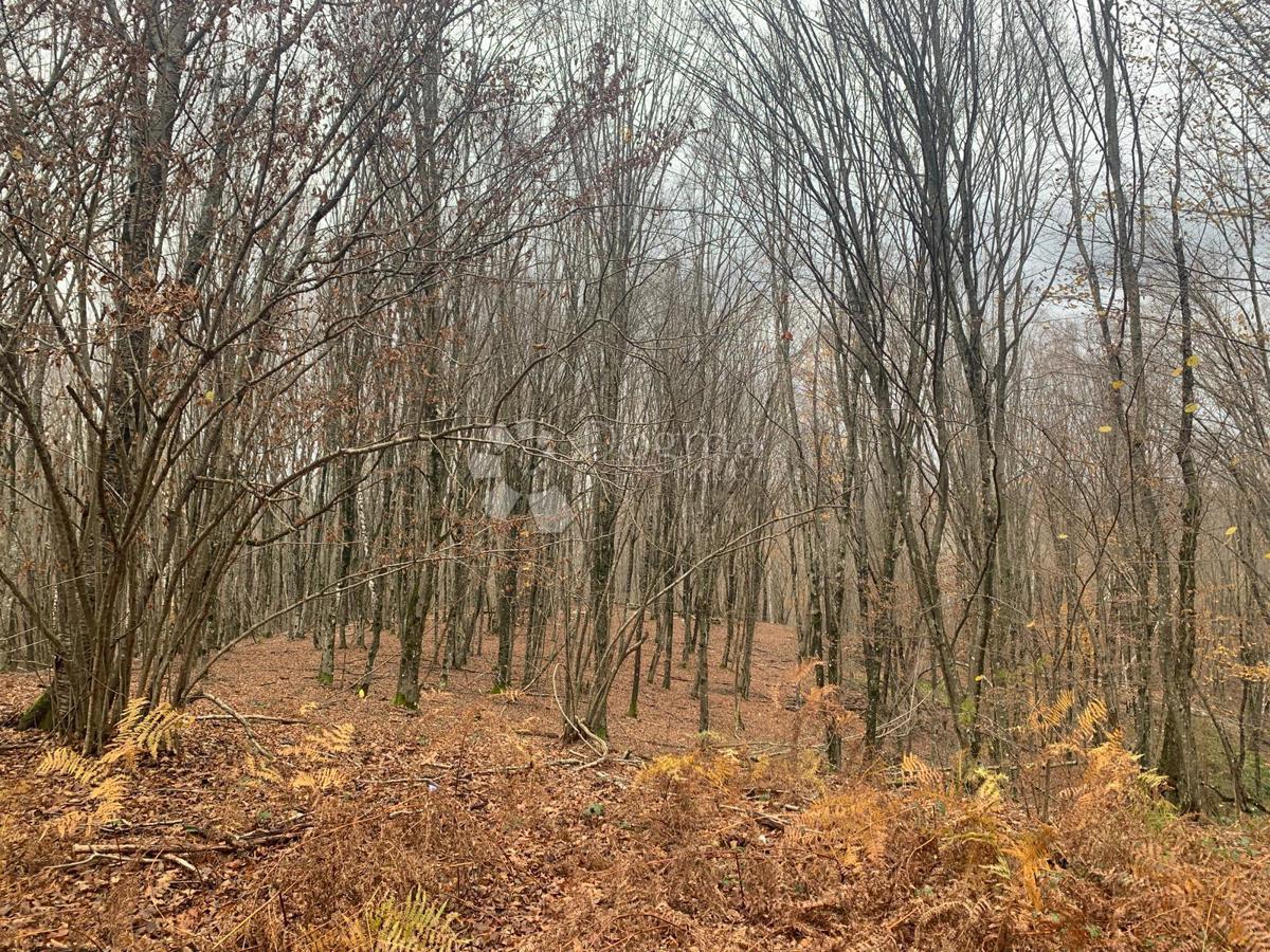 Terrain À vendre - SISAČKO-MOSLAVAČKA GVOZD