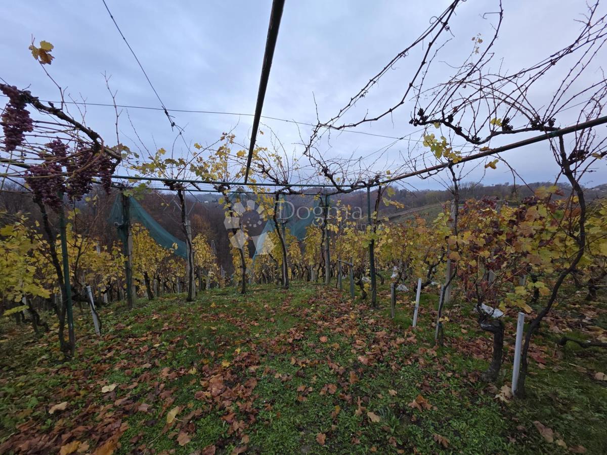 Maison À vendre - VARAŽDINSKA VINICA