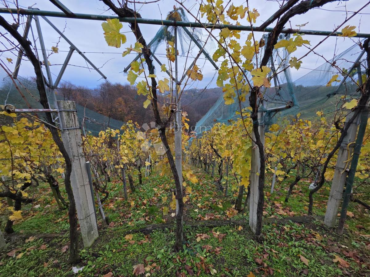 Maison À vendre - VARAŽDINSKA VINICA