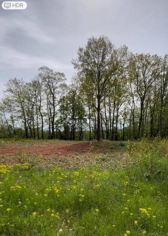 Parcela Na predaj - ISTARSKA BARBAN