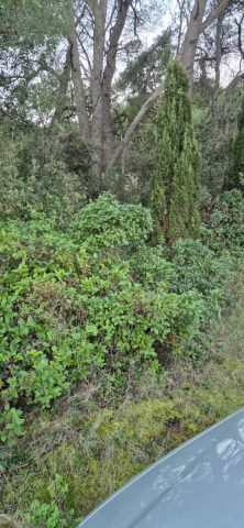 Land for sale 254 m² – Ugljan