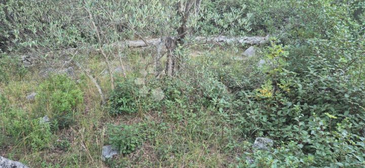 Land for sale 360 m² – Ugljan