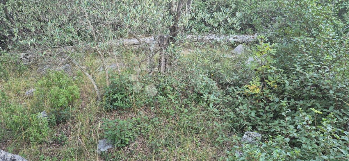 Land For sale - Zadarska Ugljan - foto 1/2