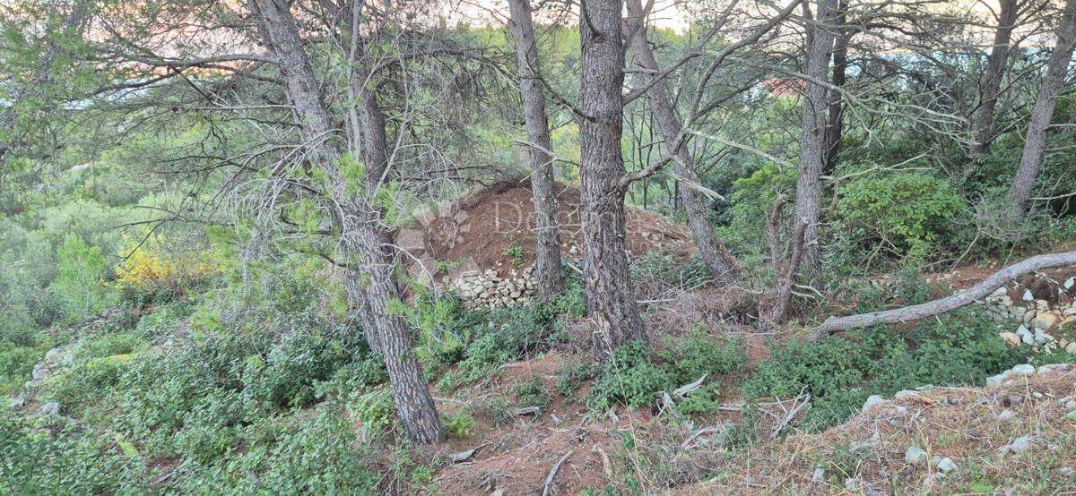 Land For sale - Zadarska Ugljan - foto 2/2