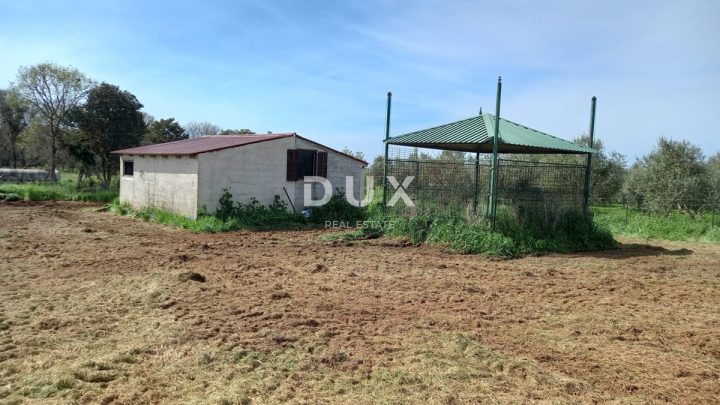 Grundstück zu verkaufen 3298 m² – Pula