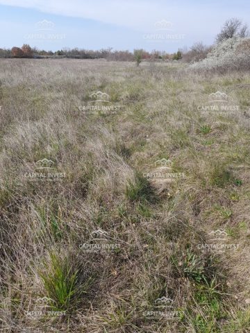 Pozemek na prodej 3000 m² – Svetvinčenat