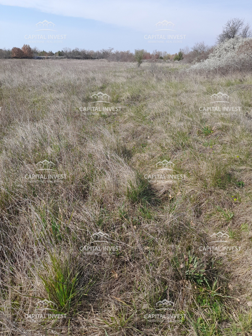 Terreno In vendita - Istarska Svetvinčenat - foto 1/3