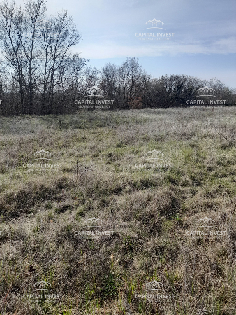 Terreno In vendita - Istarska Svetvinčenat - foto 2/3