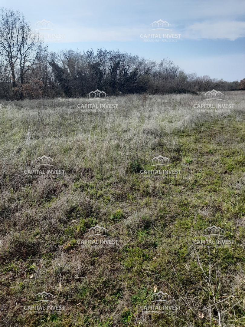 Terreno In vendita - Istarska Svetvinčenat - foto 3/3