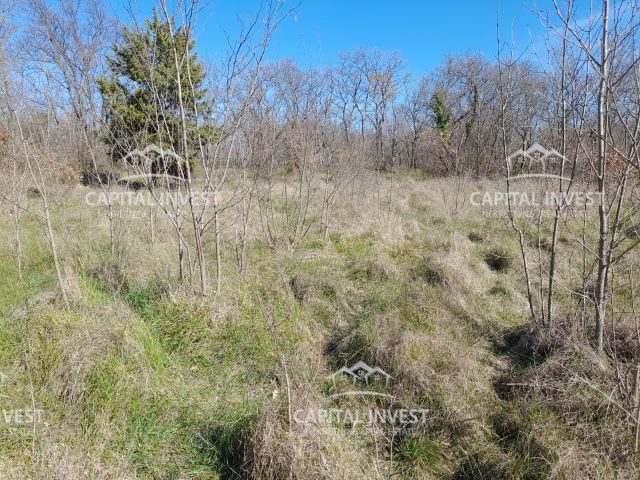 Grundstück Zu verkaufen - Istarska Marčana - foto 3/5