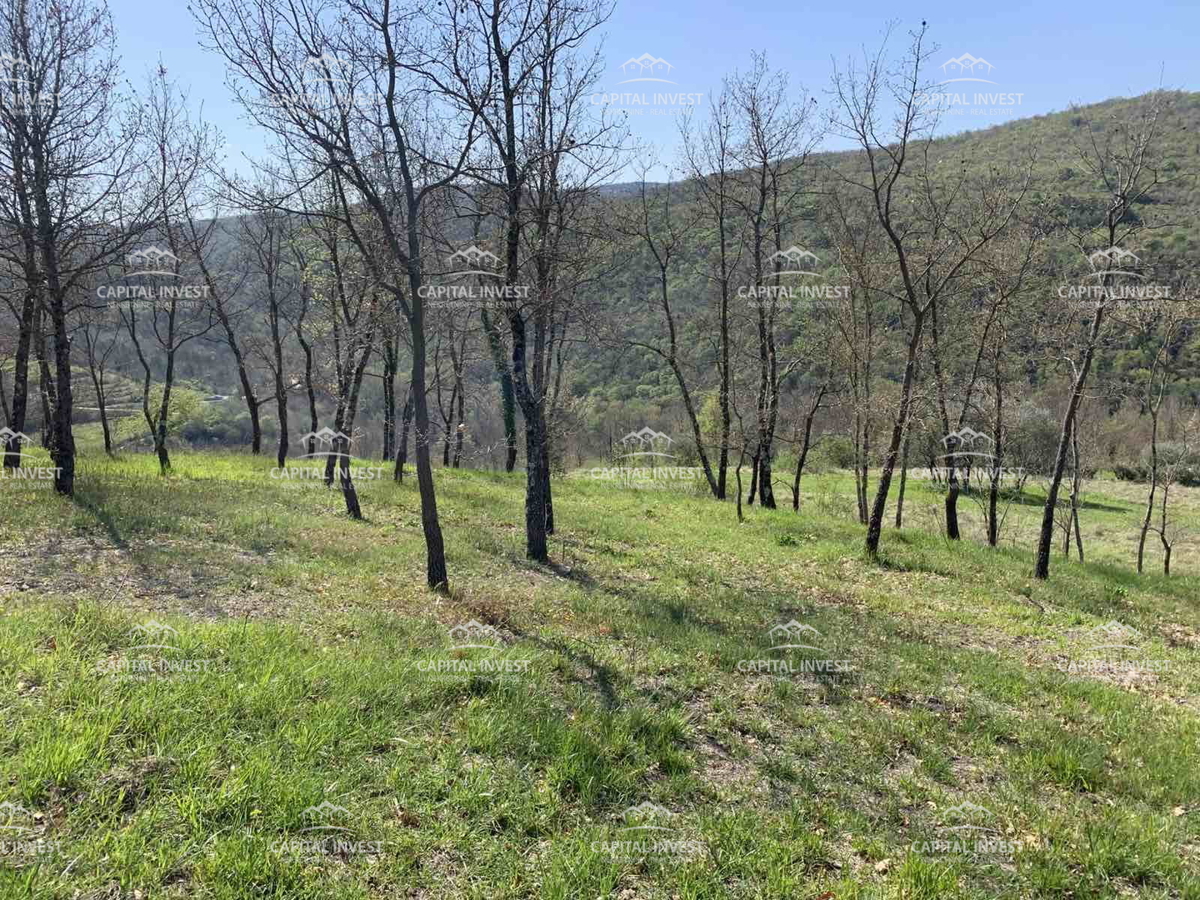 Terreno In vendita - Istarska Motovun - foto 2/5