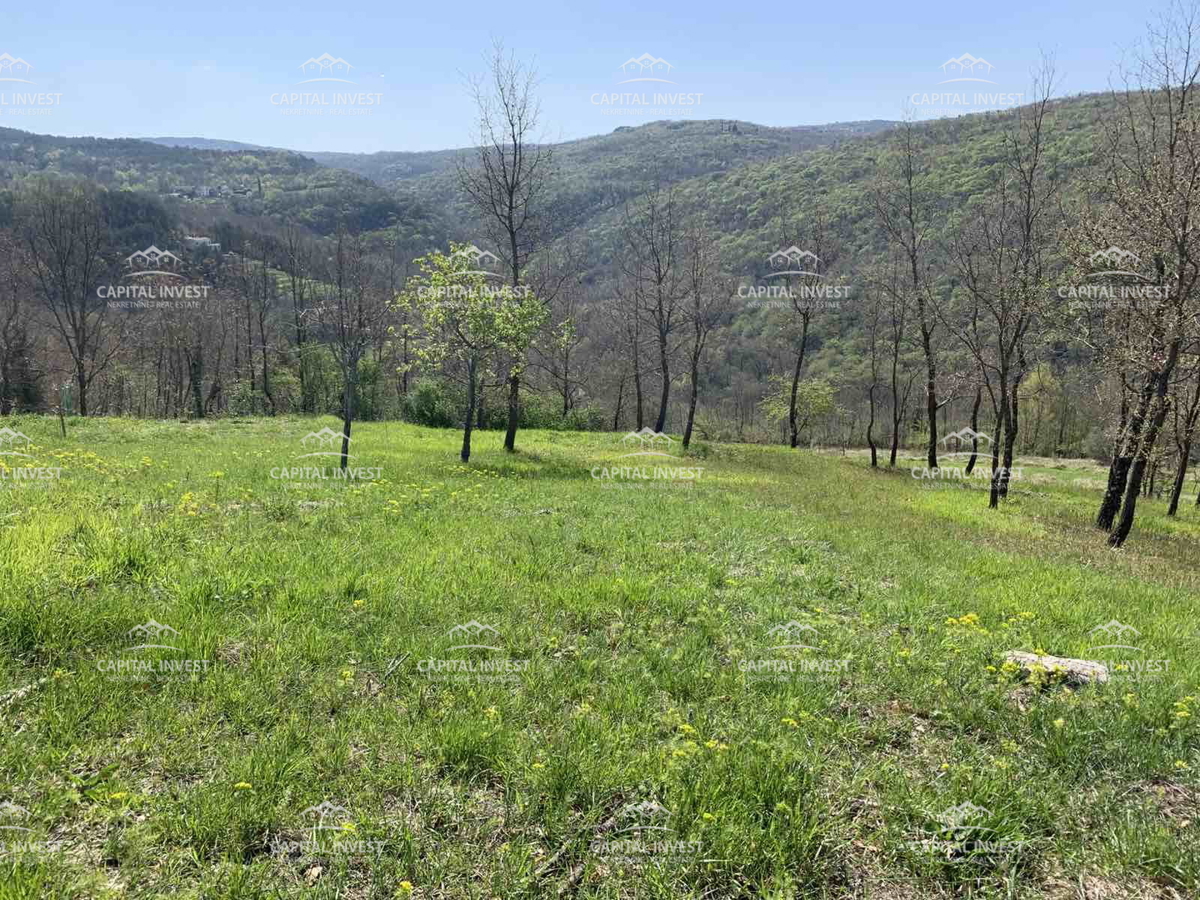 Terreno In vendita - Istarska Motovun - foto 3/5