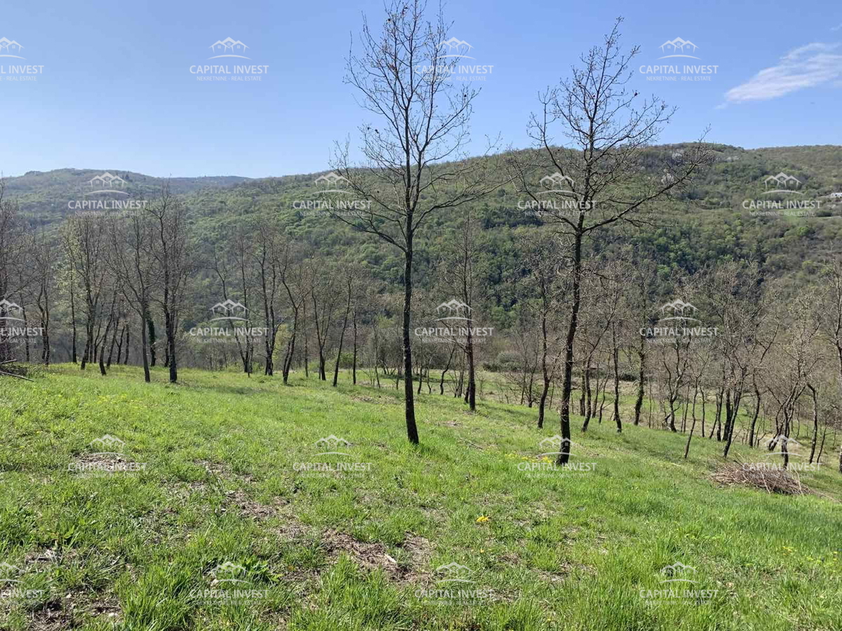 Terreno In vendita - Istarska Motovun - foto 4/5