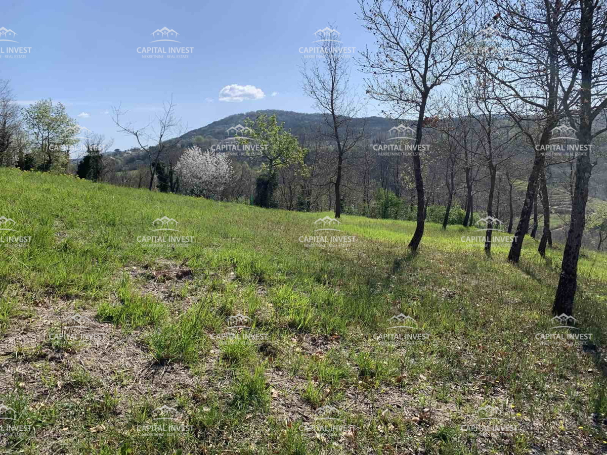Terreno In vendita - Istarska Motovun - foto 5/5