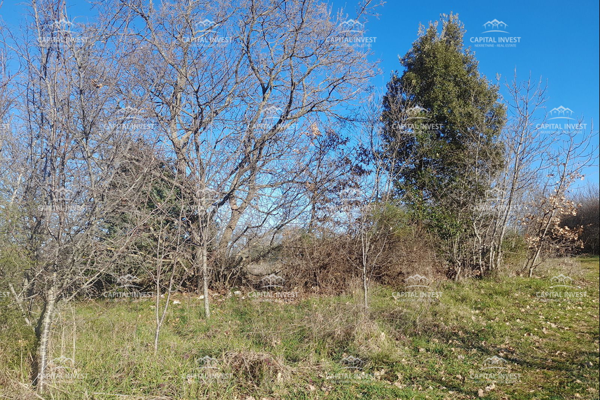 Grundstück Zu verkaufen - Istarska Marčana - foto 1/3
