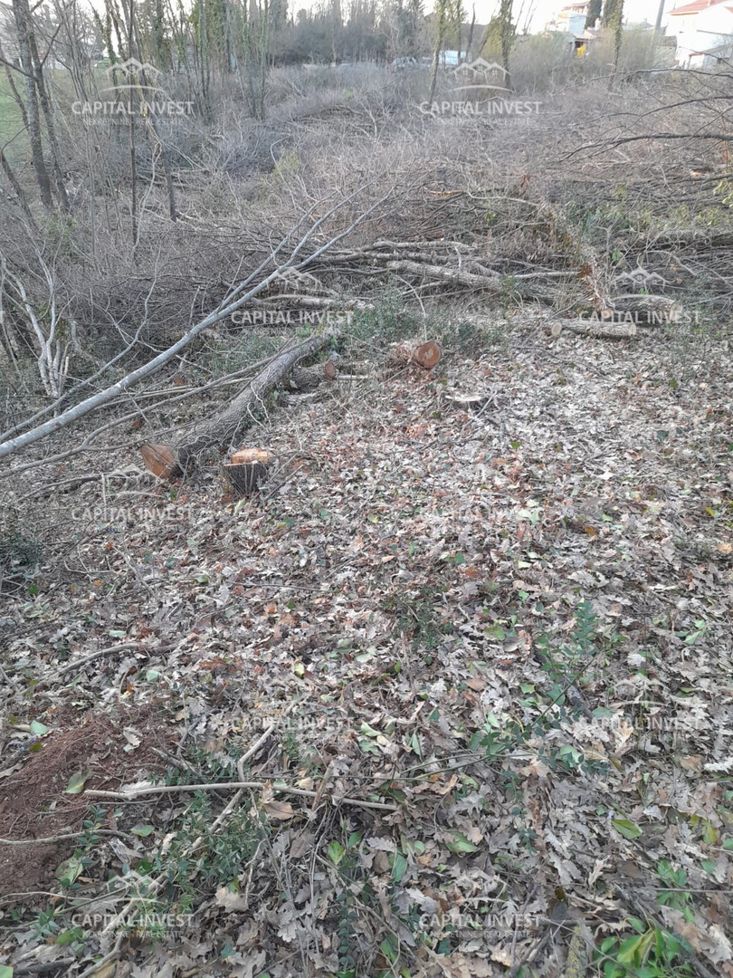Land For sale - ISTARSKA ŽMINJ