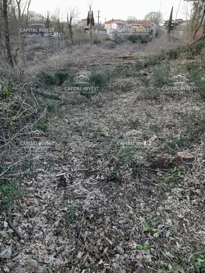 Land For sale - ISTARSKA ŽMINJ