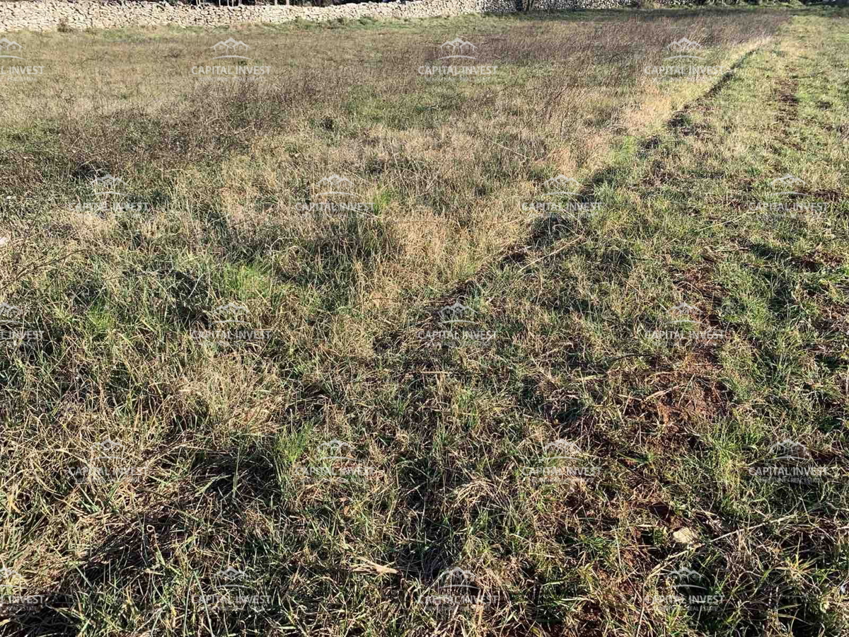 Zemljište Na prodaju - Istarska Barban - foto 4/4