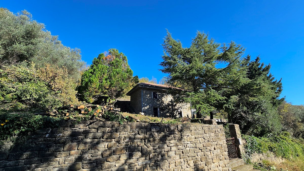 Haus Zu verkaufen - ISTARSKA GROŽNJAN