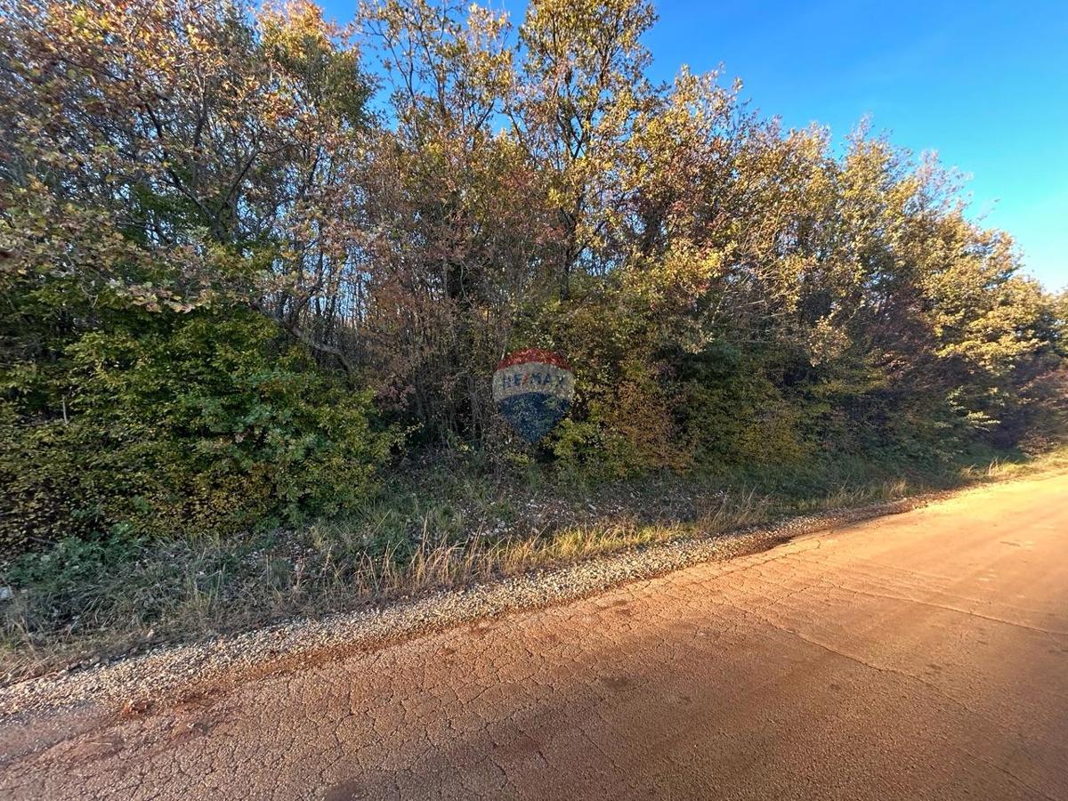 Land For sale - ISTARSKA VIŠNJAN