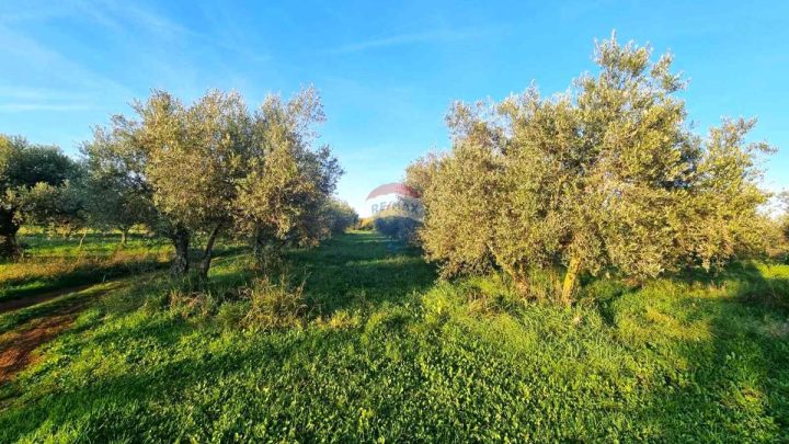 Pozemek na prodej 1899 m² – Umag