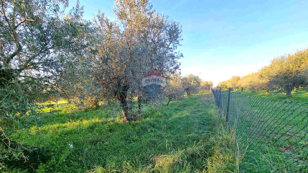 Pozemek Na prodej - ISTARSKA UMAG