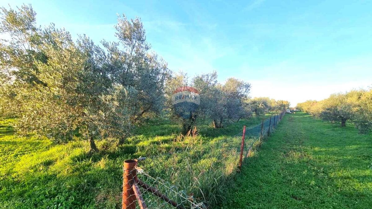 Pozemek Na prodej - ISTARSKA UMAG