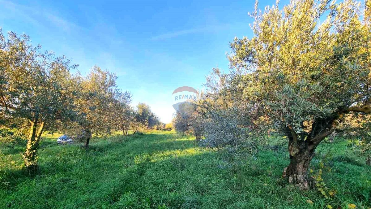 Pozemek Na prodej - ISTARSKA UMAG