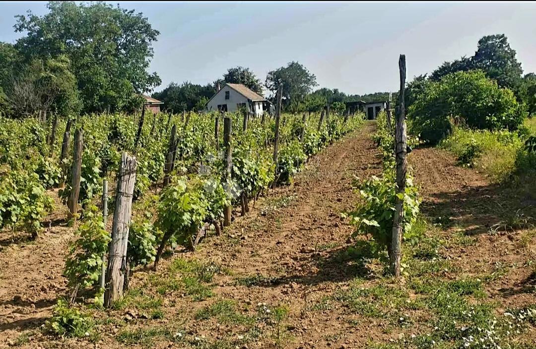 Kuća Na prodaju - OSJEČKO-BARANJSKA KNEŽEVI VINOGRADI