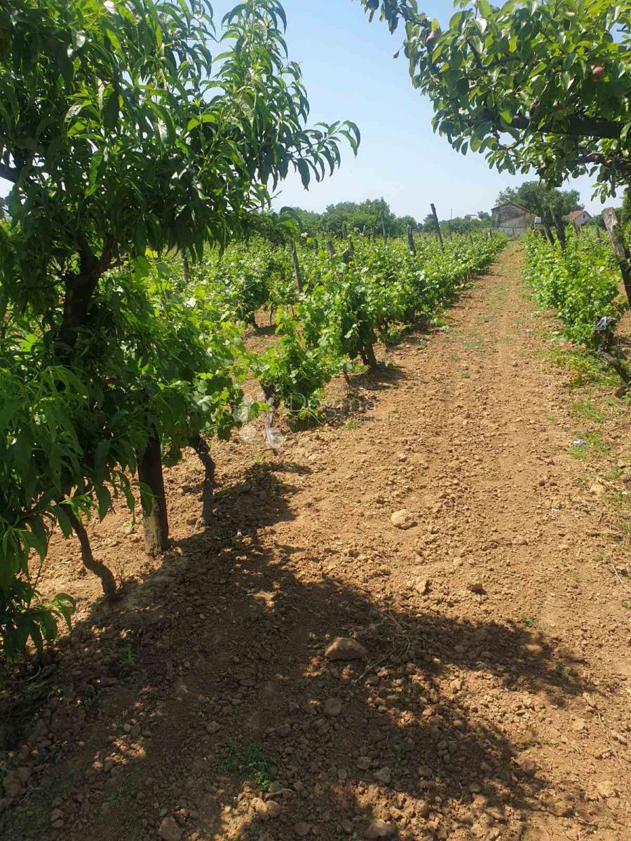 Kuća Na prodaju - OSJEČKO-BARANJSKA KNEŽEVI VINOGRADI