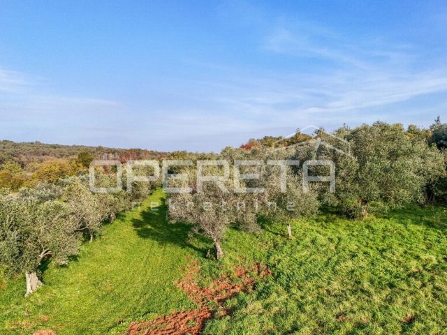 Pozemek na prodej 683 m² – Umag
