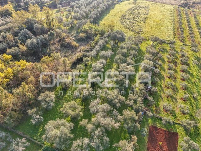 Land For sale - Istarska Umag - foto 3/7