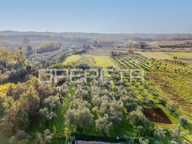 Land For sale - Istarska Umag - foto 5/7