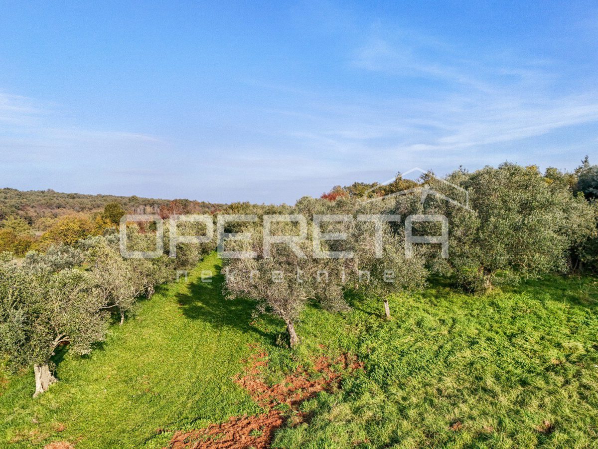 Land For sale - Istarska Umag - foto 1/7
