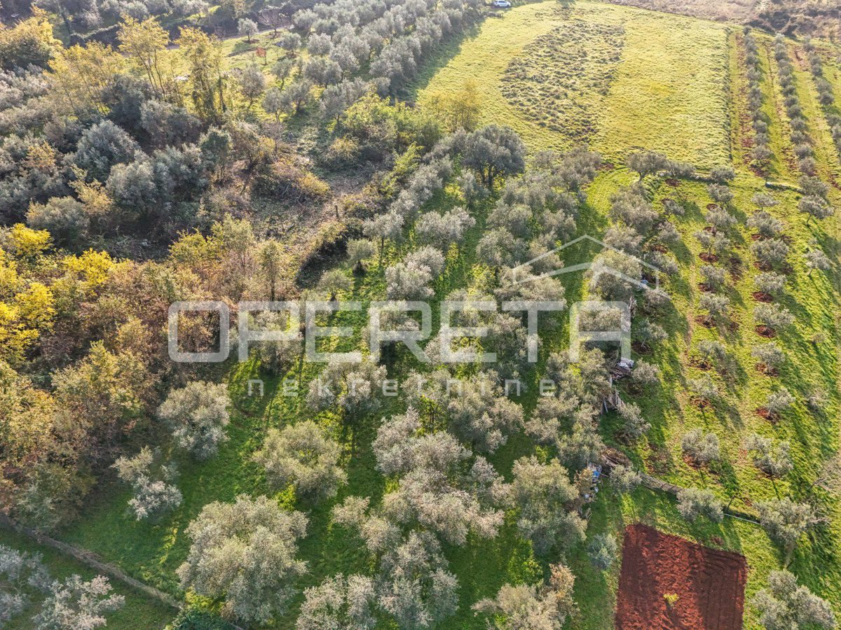 Land For sale - Istarska Umag - foto 3/7