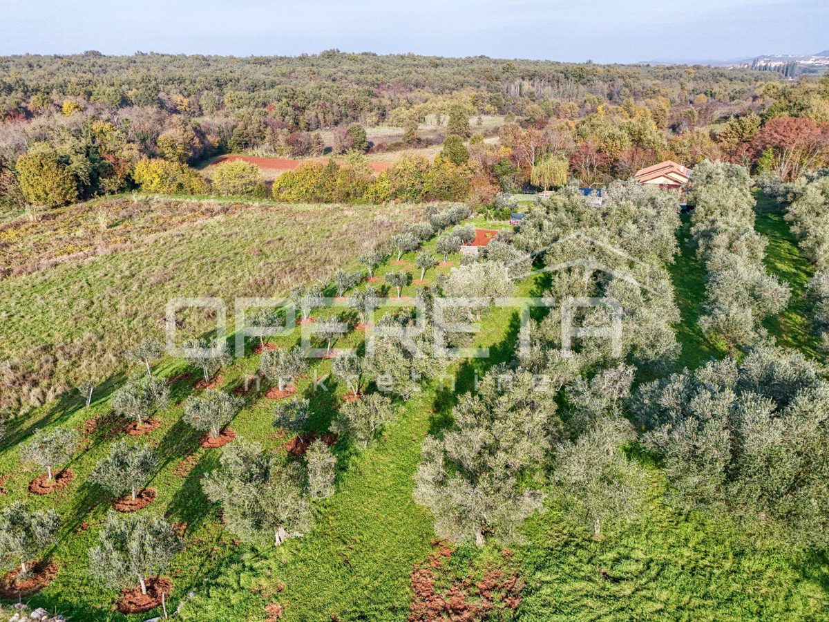 Land For sale - ISTARSKA UMAG