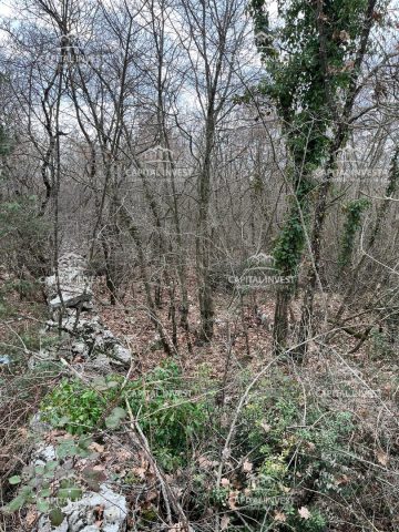 Parcela na predaj 25500 m² – Sveti Lovreč