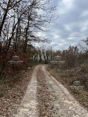 Grundstück Zu verkaufen - Istarska Sveti Lovreč - foto 4/7
