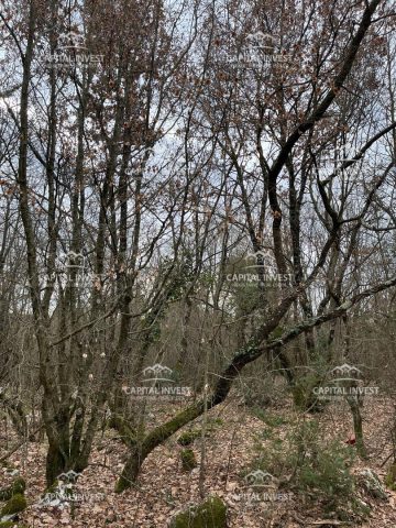 Grundstück Zu verkaufen - Istarska Sveti Lovreč - foto 5/7